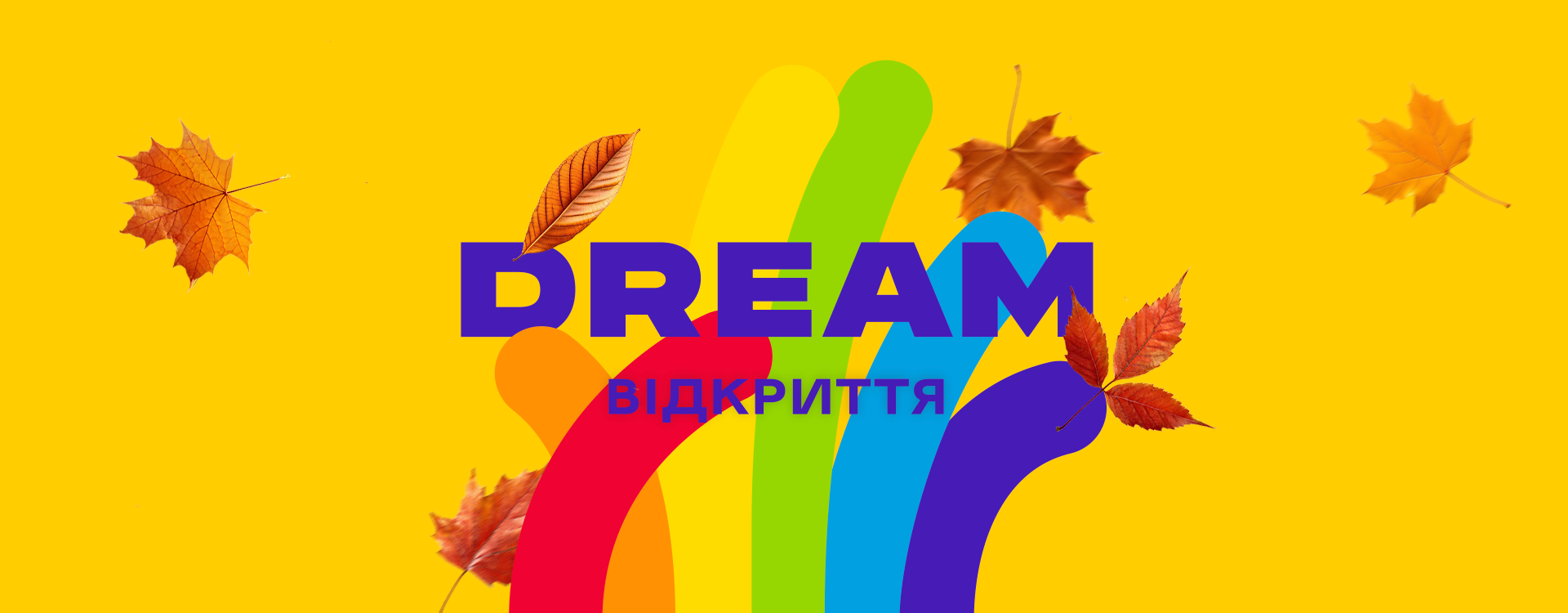 Autumn openings at DREAM